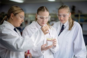 La studio della chimica nelle high schools in Australia prevede lavori di gruppo ed esperimenti pratici
